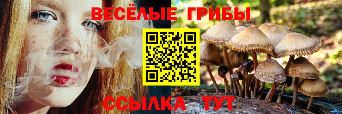 Галлюциногенные грибы мухоморы  Вход с VPN  Псилоцибиновые грибы Psilocybine cubensis  Ставрополь 